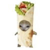 Корм для кошек 🍅🥬🍄🥒🥦 15