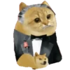 Cat Coin Cash💛😻🧡 12