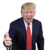 Donald Trump’d 17