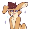 Niko Bunny 19