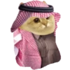 Cat Coin Cash💛😻🧡 13