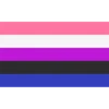 QUEER LGBTQ FLAGS 13