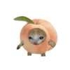 Корм для кошек 🍅🥬🍄🥒🥦 16