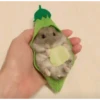 Hamster Gemoy 21