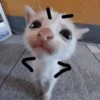 Enojados 🤬💢🗯️😡😤 10
