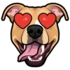 Roscoe 5