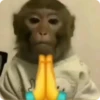 Monos Divertidos 8