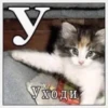 ЛYчьше стикеры - 19