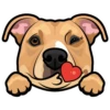 Roscoe 6