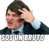 SOS UN BRUTO