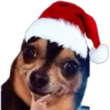 Memes de Natal 4 15