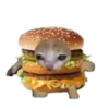 Корм для кошек 🍅🥬🍄🥒🥦 21