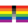 QUEER LGBTQ FLAGS 17