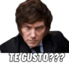 TE GUSTO???