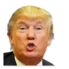 Donald Trump’d 25
