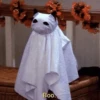 Halloween Mood 🎃 12