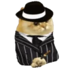 Cat Coin Cash💛😻🧡 20