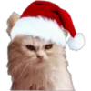 Memes de Natal 4 21