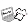 {<<FUNNY CAT 2>>} 18