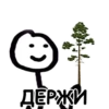 Теребонька 24