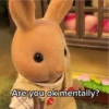 Sylvanian Drama 2 19