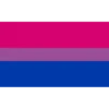 QUEER LGBTQ FLAGS 21