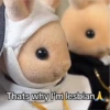 Sylvanian Drama 2 21