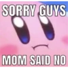 kirby! 28