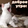 ЛYчьше стикеры - 26