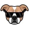 Rufus 5