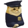 Cat Coin Cash💛😻🧡 27
