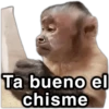 Ta bueno el @paraguayita_01 chisme