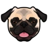 Phoebe 5