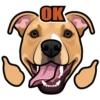 Roscoe 9