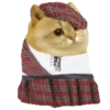 Cat Coin Cash💛😻🧡 28