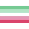 QUEER LGBTQ FLAGS 24