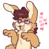 Niko Bunny 29