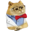Cat Coin Cash💛😻🧡 29