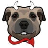 LEO 5