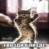 SooNUgn_by_achestickbot 26