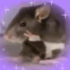 🐭Ratitas🐭 14
