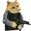 Cat Coin Cash💛😻🧡 30