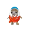 Корм для кошек 🍅🥬🍄🥒🥦 30