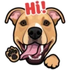 Roscoe 10