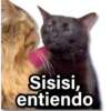 Memes que necesitas 13