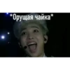 *Орущая чайка*