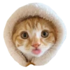 Cats in hats 5