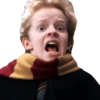 Harry Potter Stickers 5
