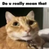 jaj 4