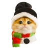 Cats in hats 7
